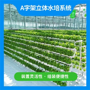 A字架立体水培系统