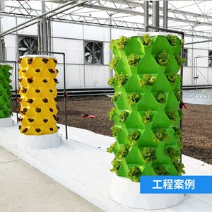 菠萝立体水培系统