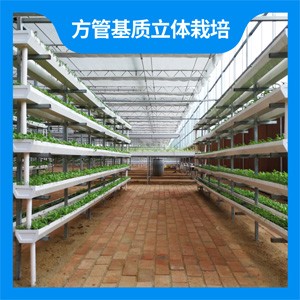 方管基质立体栽培