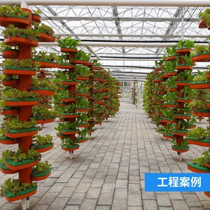仿生螺旋