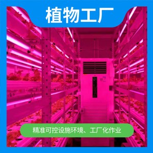 植物工厂
